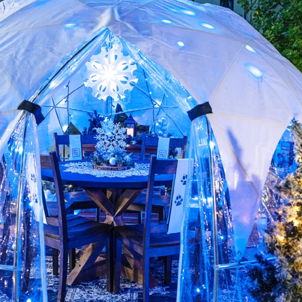 entrance of an illuminated snow globe