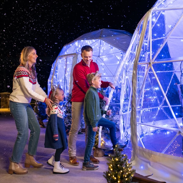 family entering the snow globe