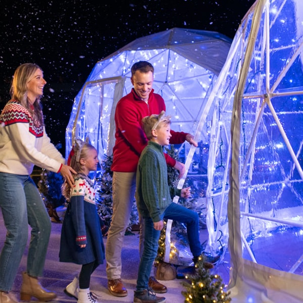 family enjoying hot chocolate and cookies in a snow globe