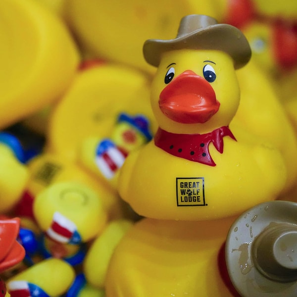 image of rubber ducks