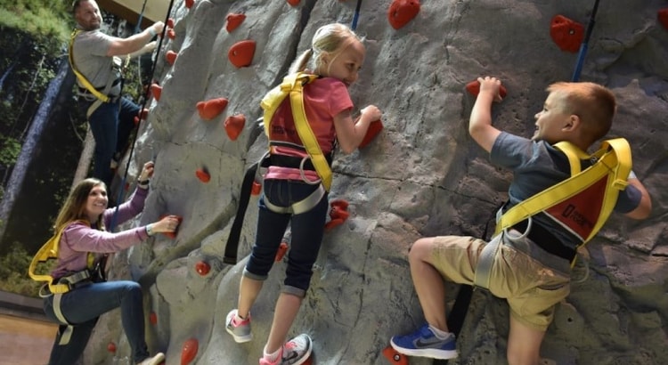 A family climbs a rock wall