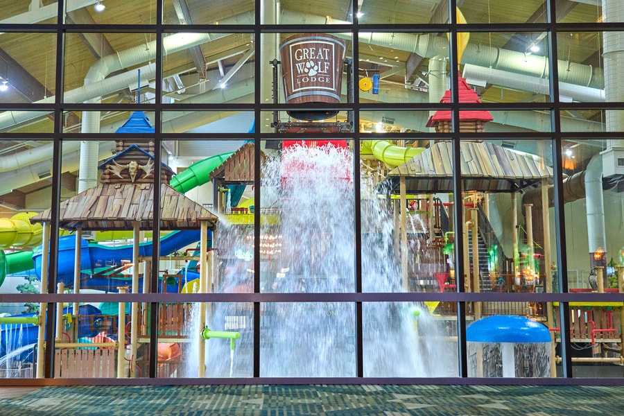 A wide shot of the water treehouse