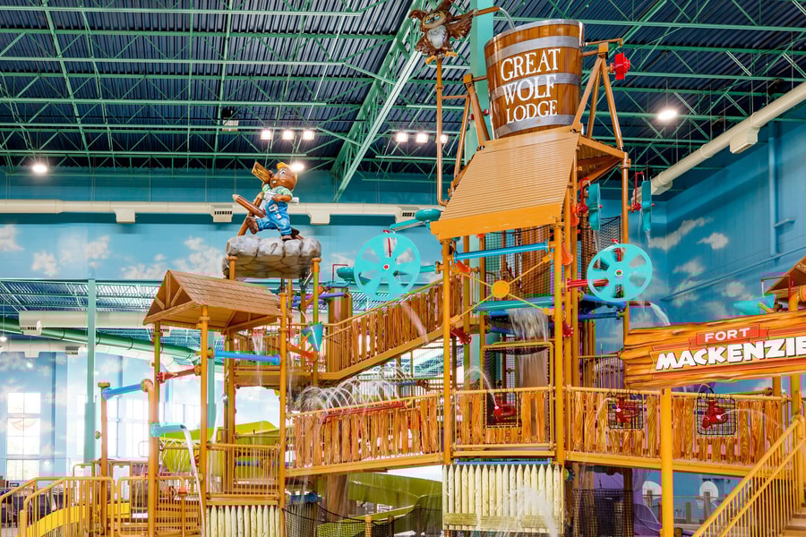 A wide shot of the water treehouse