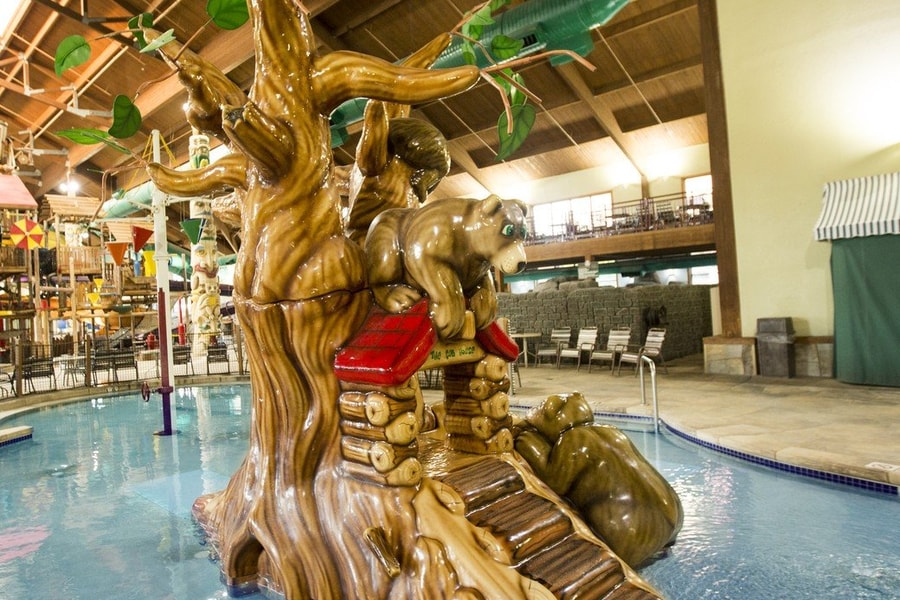 The indoor oak tree feature in a pool 