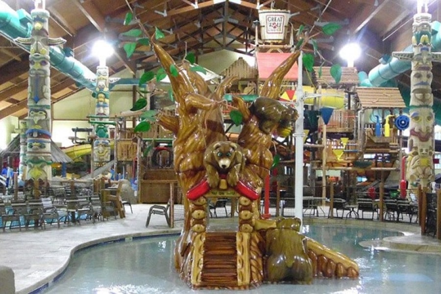 The indoor oak tree feature in a pool 
