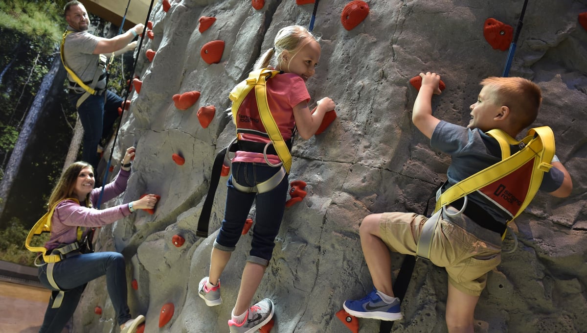 Family climbing an indoor rock wall with safety harnesses