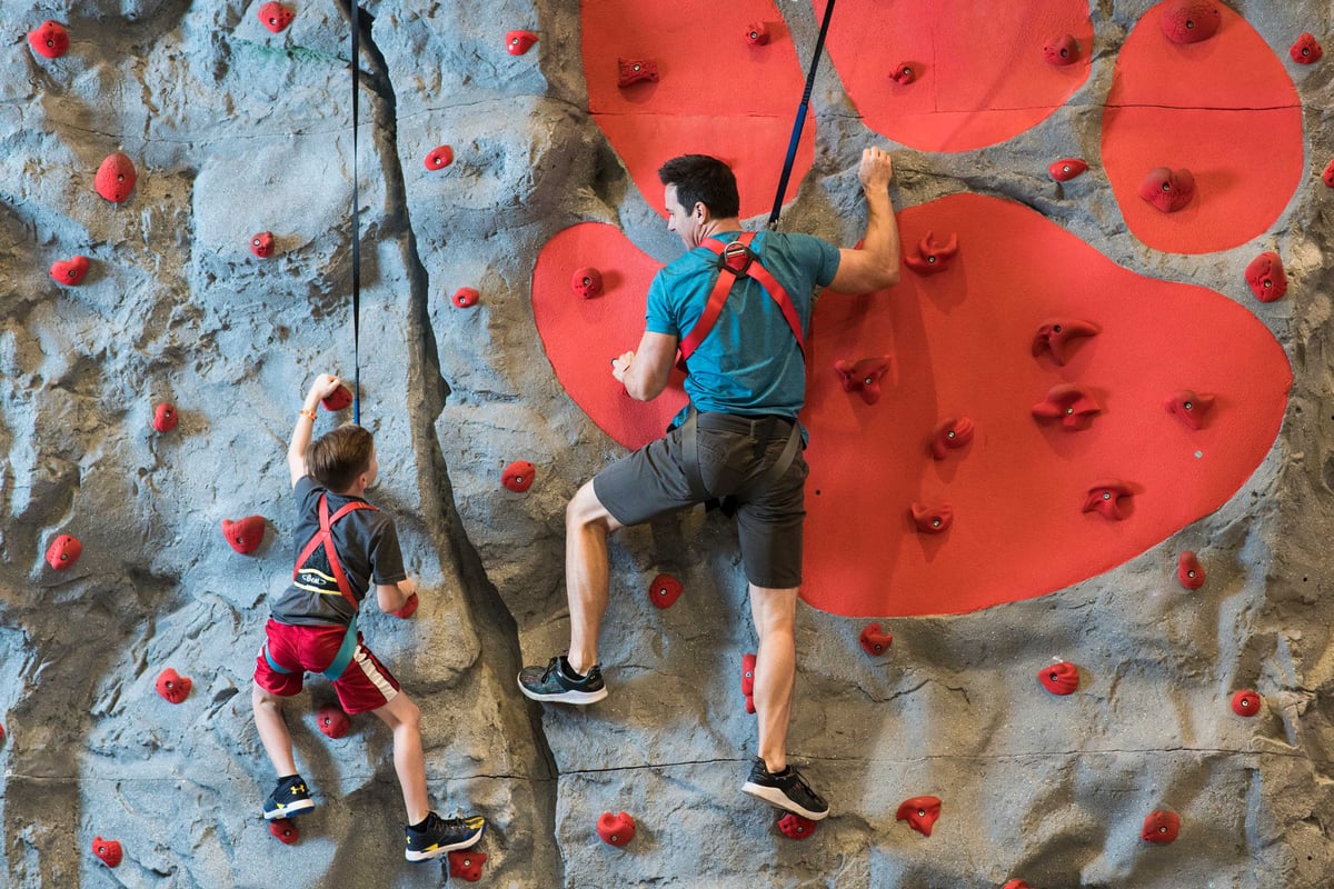 Family climbing an indoor rock wall with safety harnesses