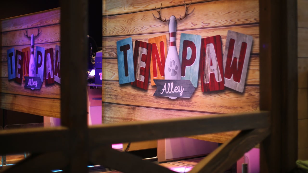 Ten Paw Alley Logo