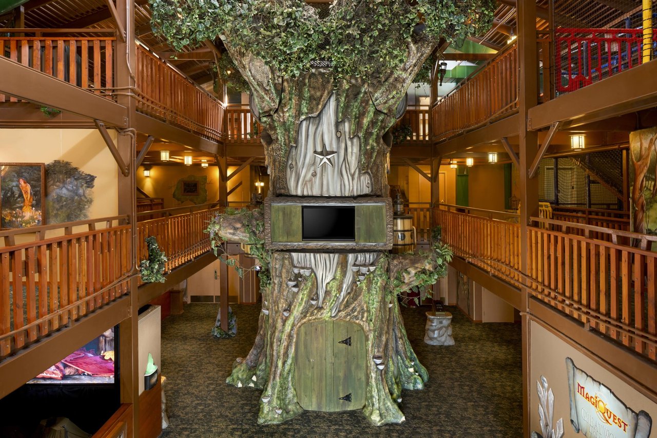 Huge tree in the Magiquest lobby