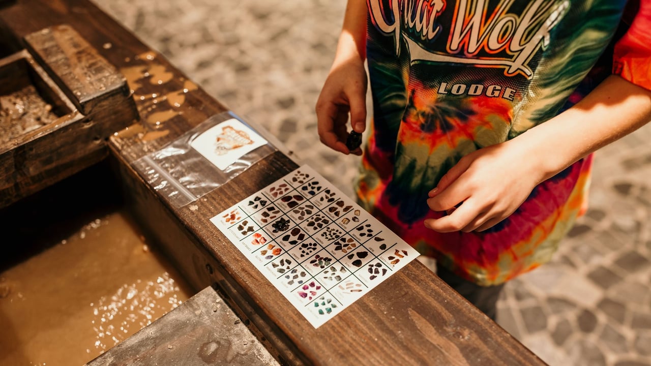 Child identifying gemstones using reference chart