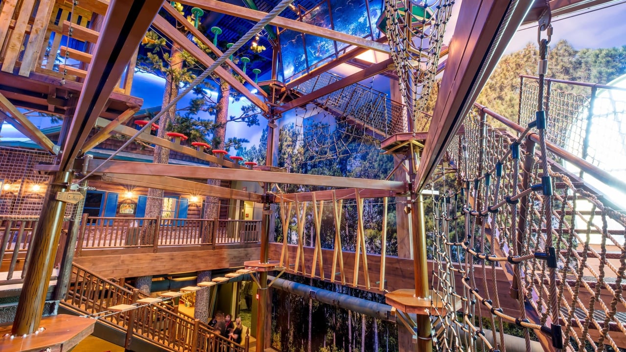 Pathway created by criss cross ropes