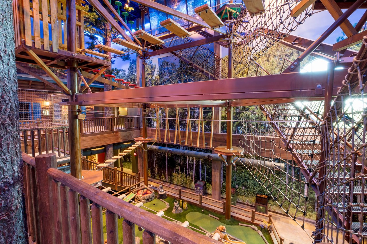 Overall view of the ropes course