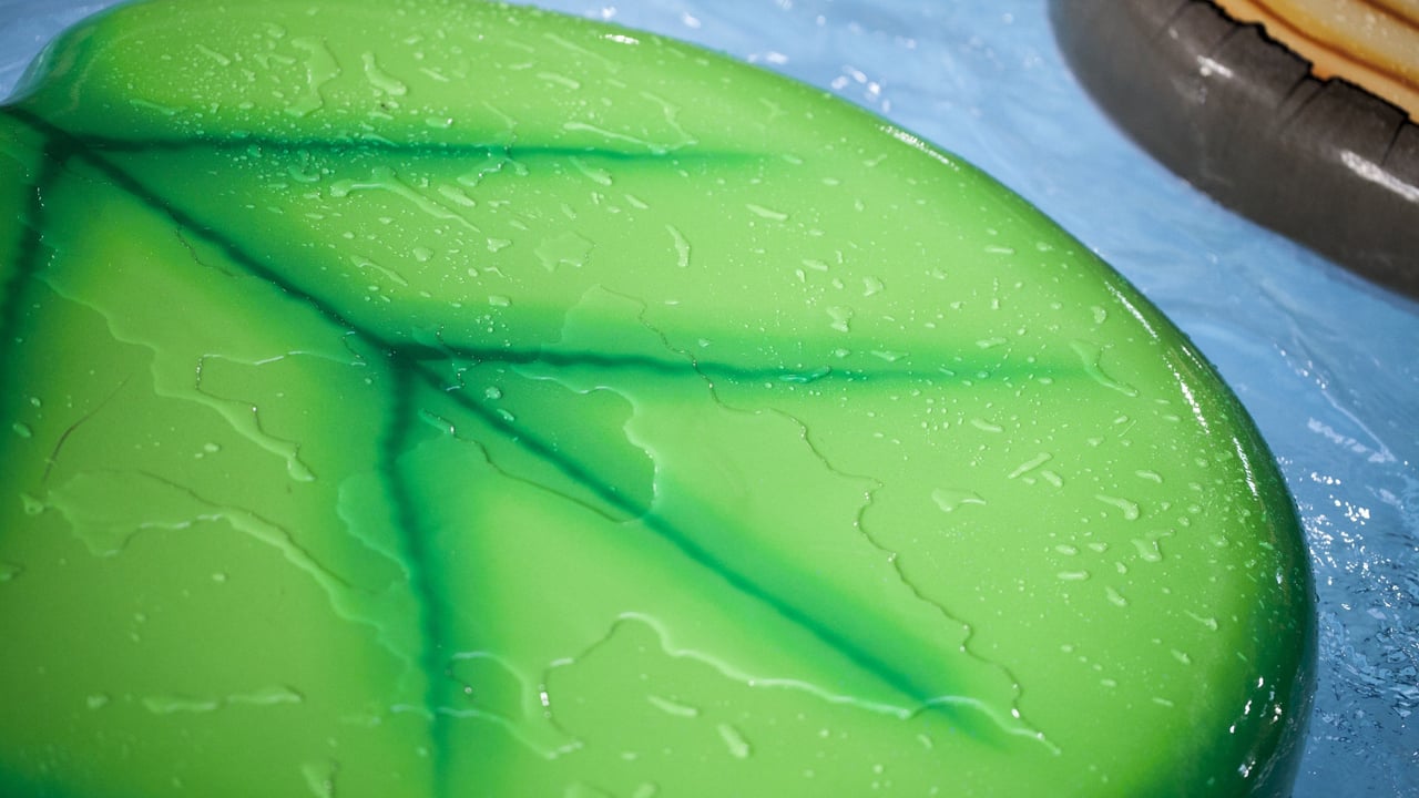 close up of a green lily pad float in indoor pool