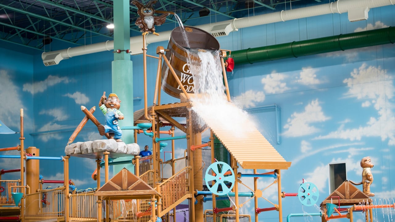 global view of the water tree fort