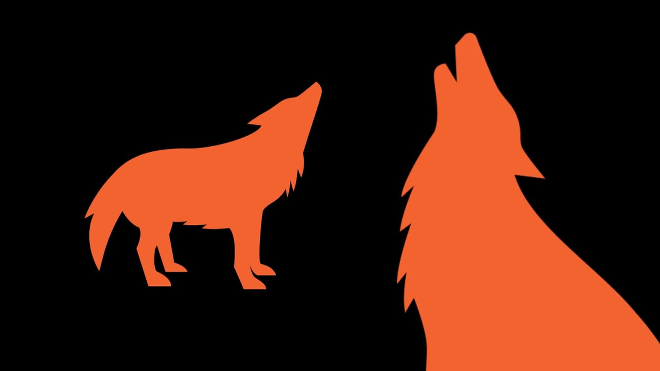 orange howling wolf on a black background