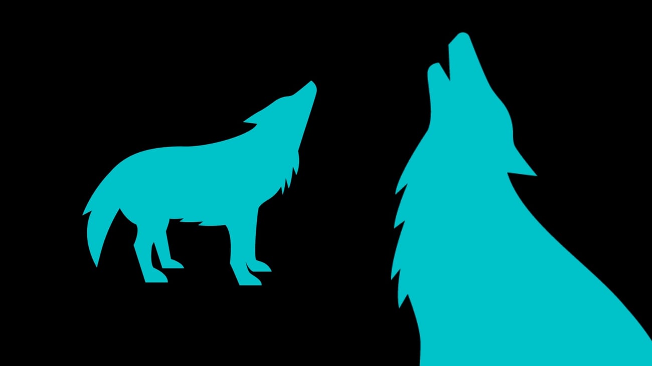 blue howling wolf on a black background