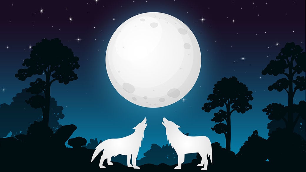 two wolves howling at the moon