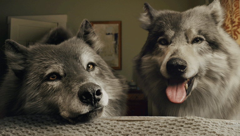 Howlin Holidays Sale