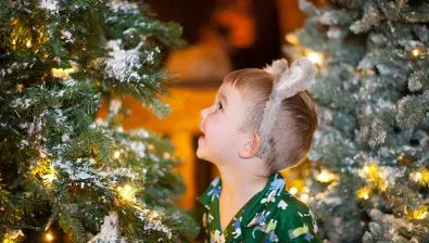 Boy looking at a Christmas tree