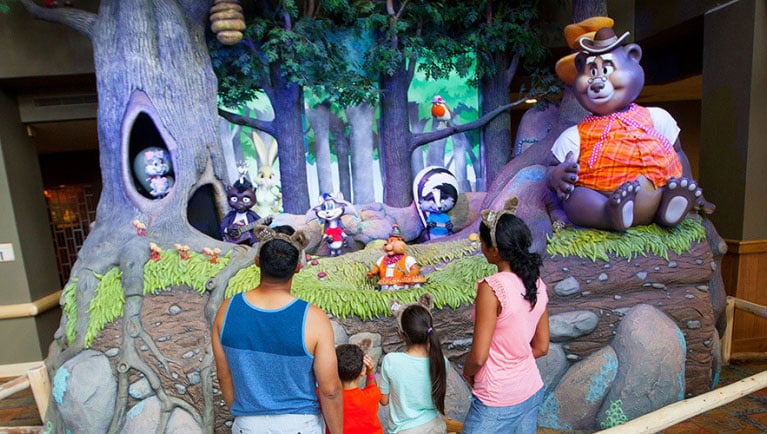 The area for The Forest Friends Show