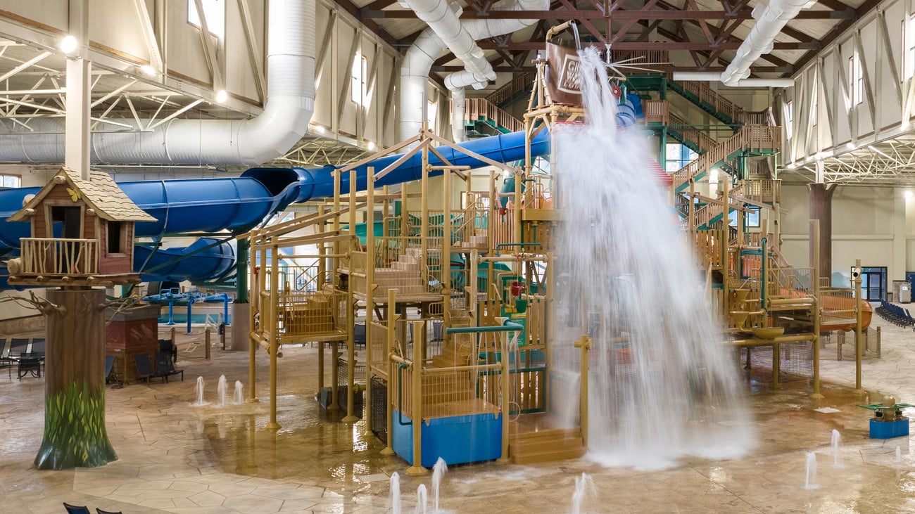 A wide shot of the water treehouse