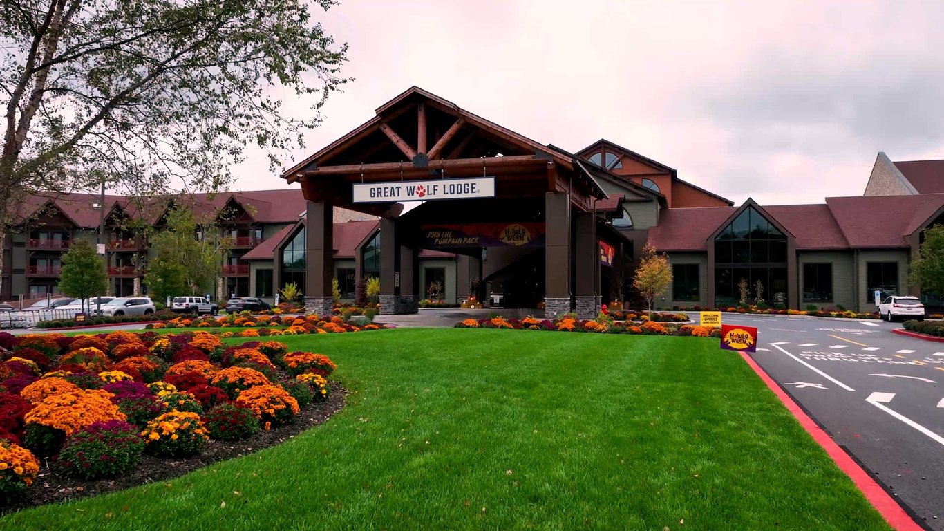 Howl o ween illustration