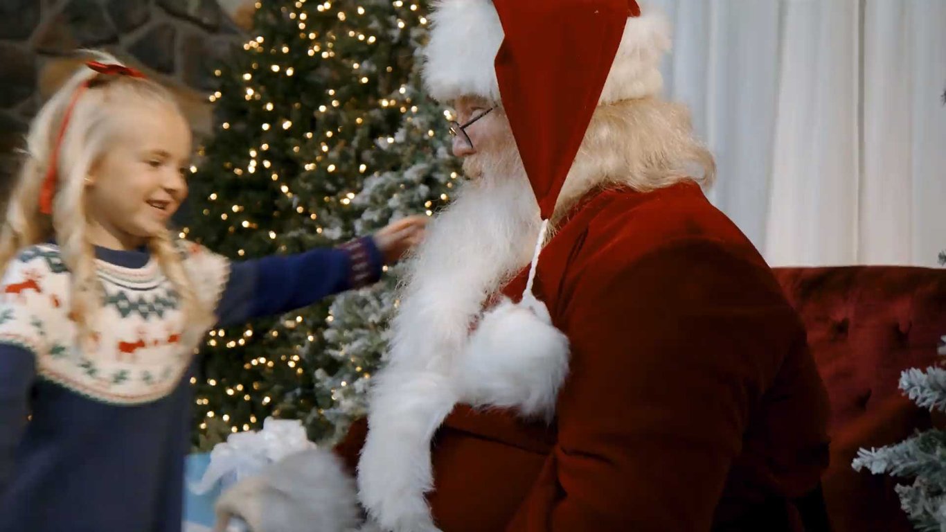 Snowland illustration