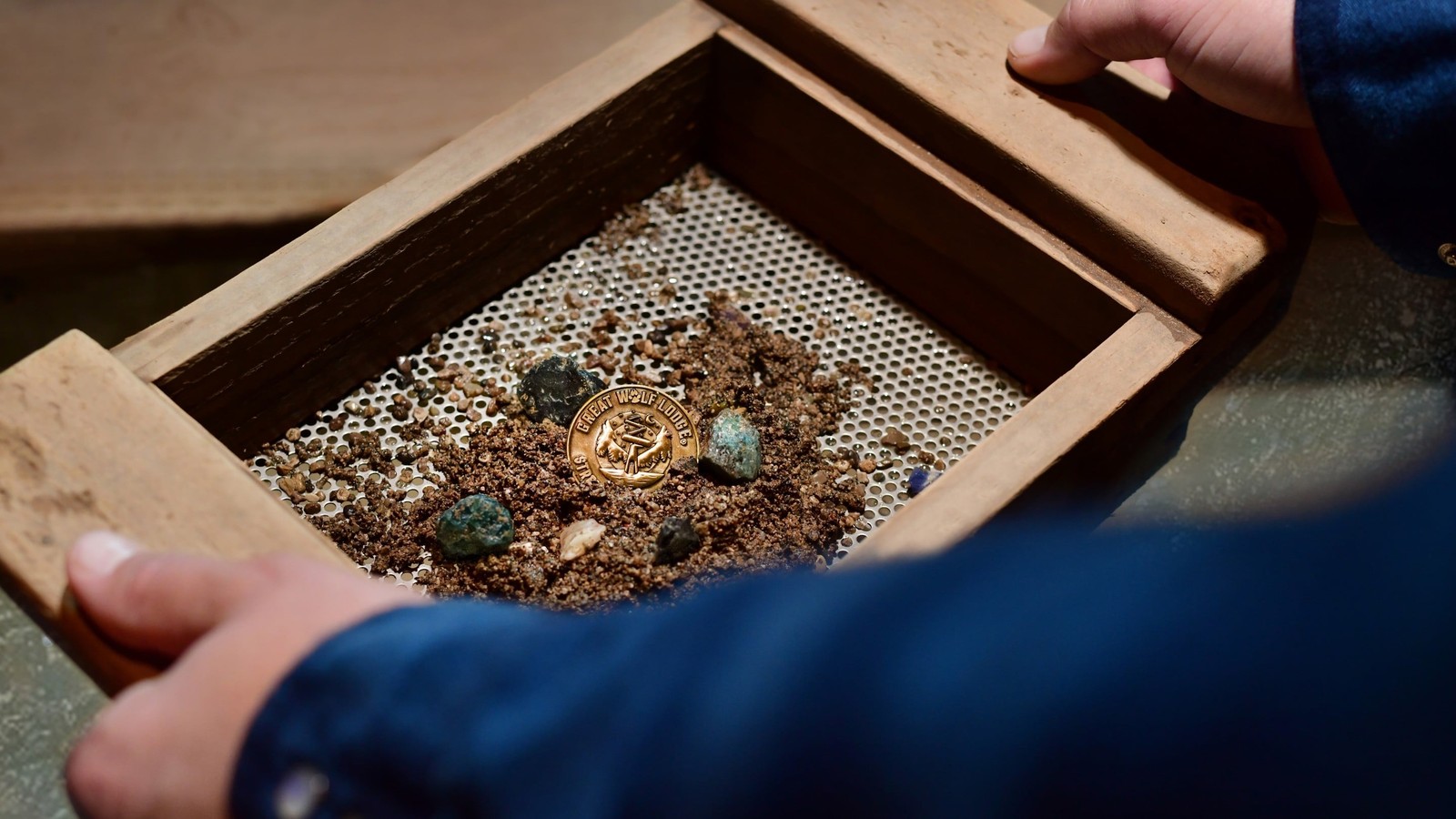 Hands holding sifter with gold coins and gems
