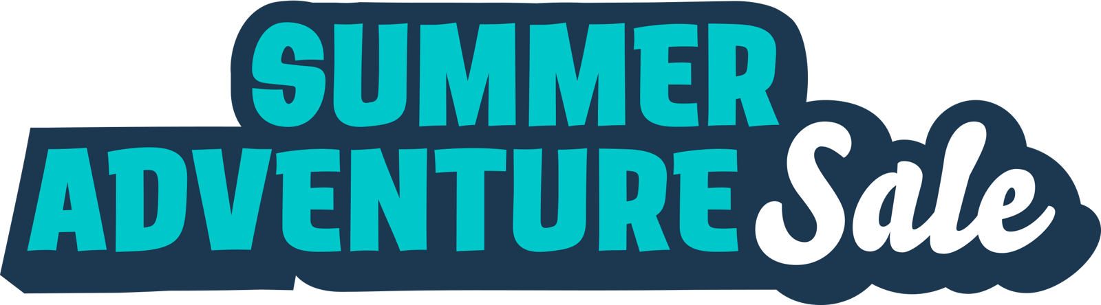 summer adventure sale Logo