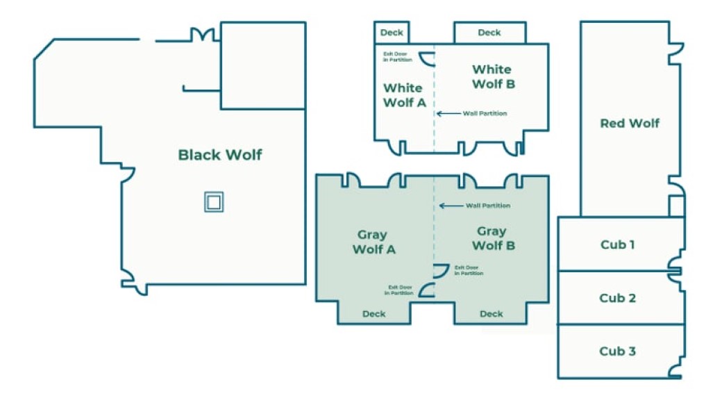 Gray Wolf