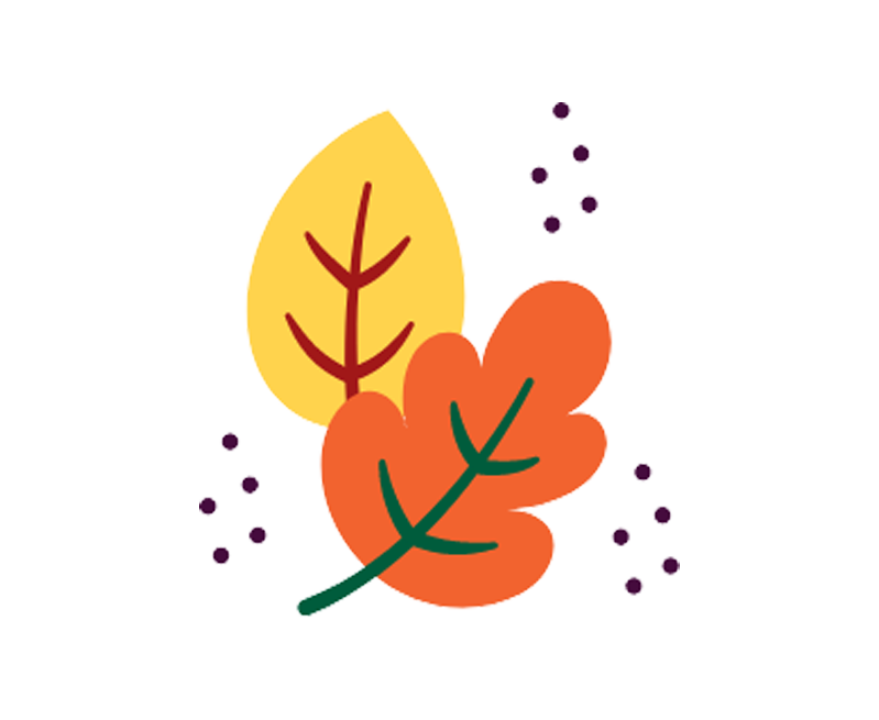fall leaves illustration