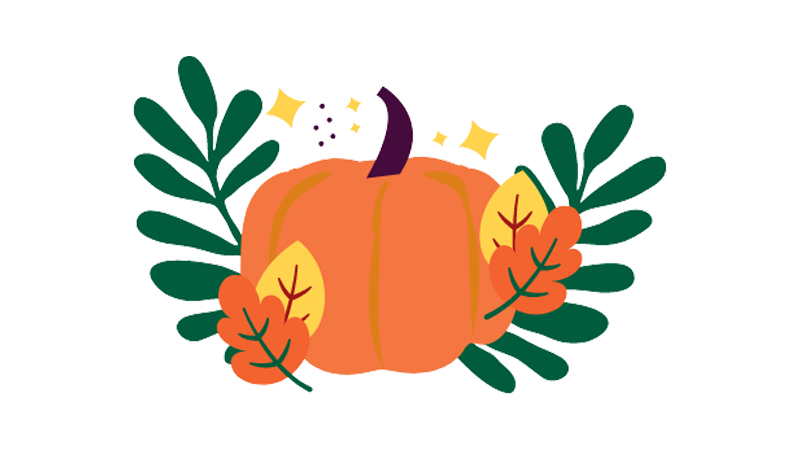 pumpkin spice illustration