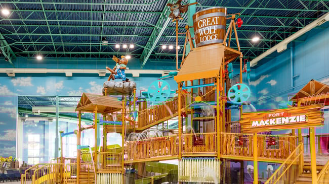 A wide shot of the water treehouse