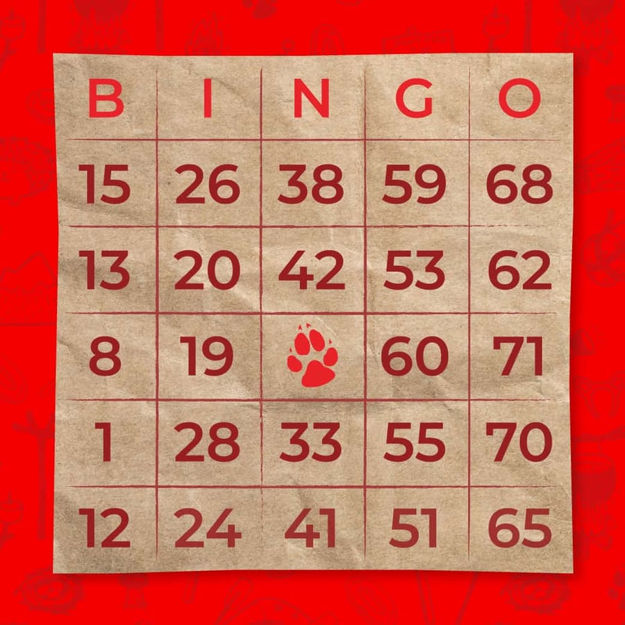 Bingo Game Illustration 