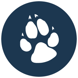 Great wolf Lodge Paw Logo