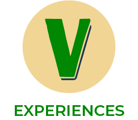Voyegers Experience illustration