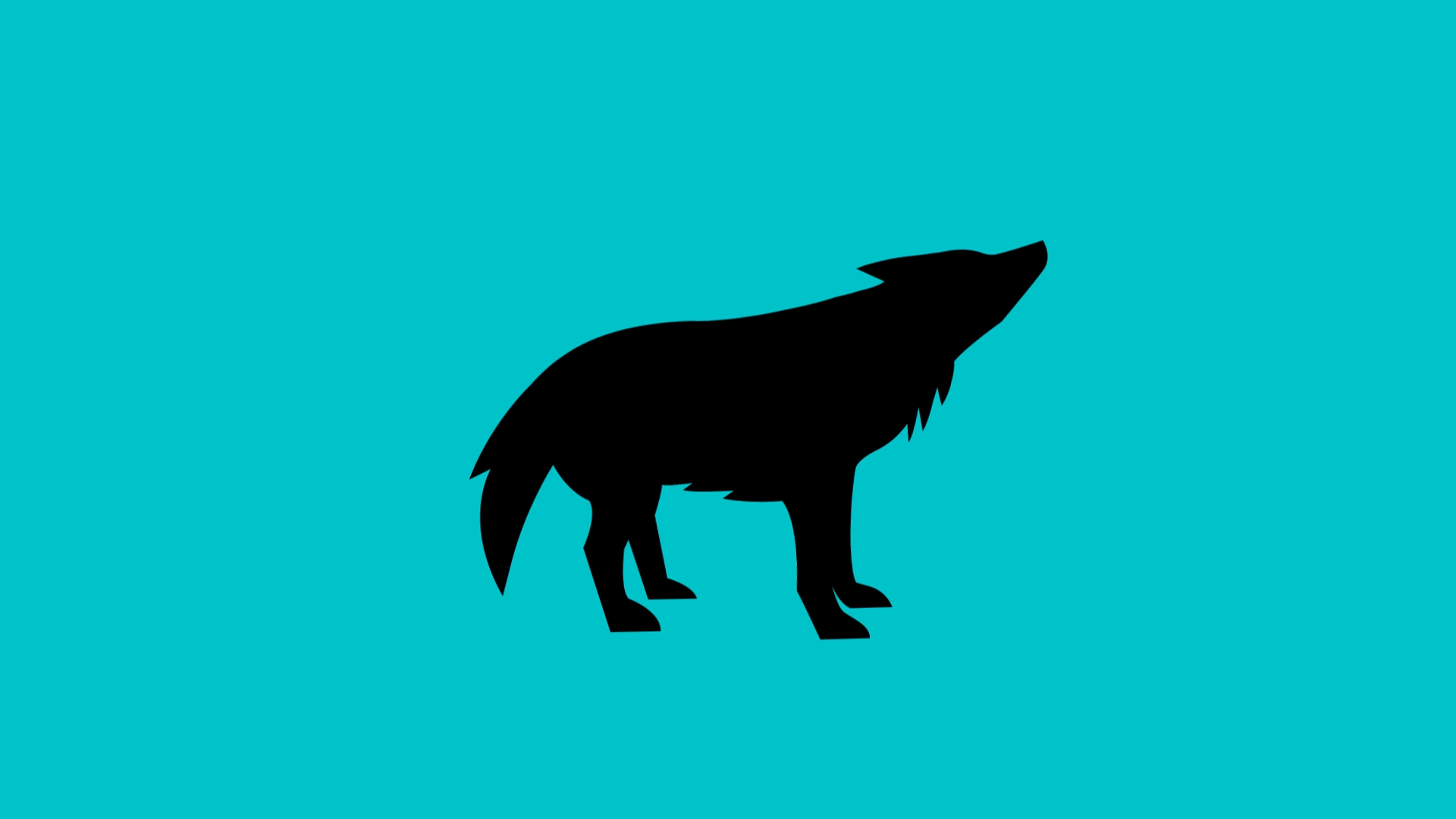 animation of a black wolf on a blue background