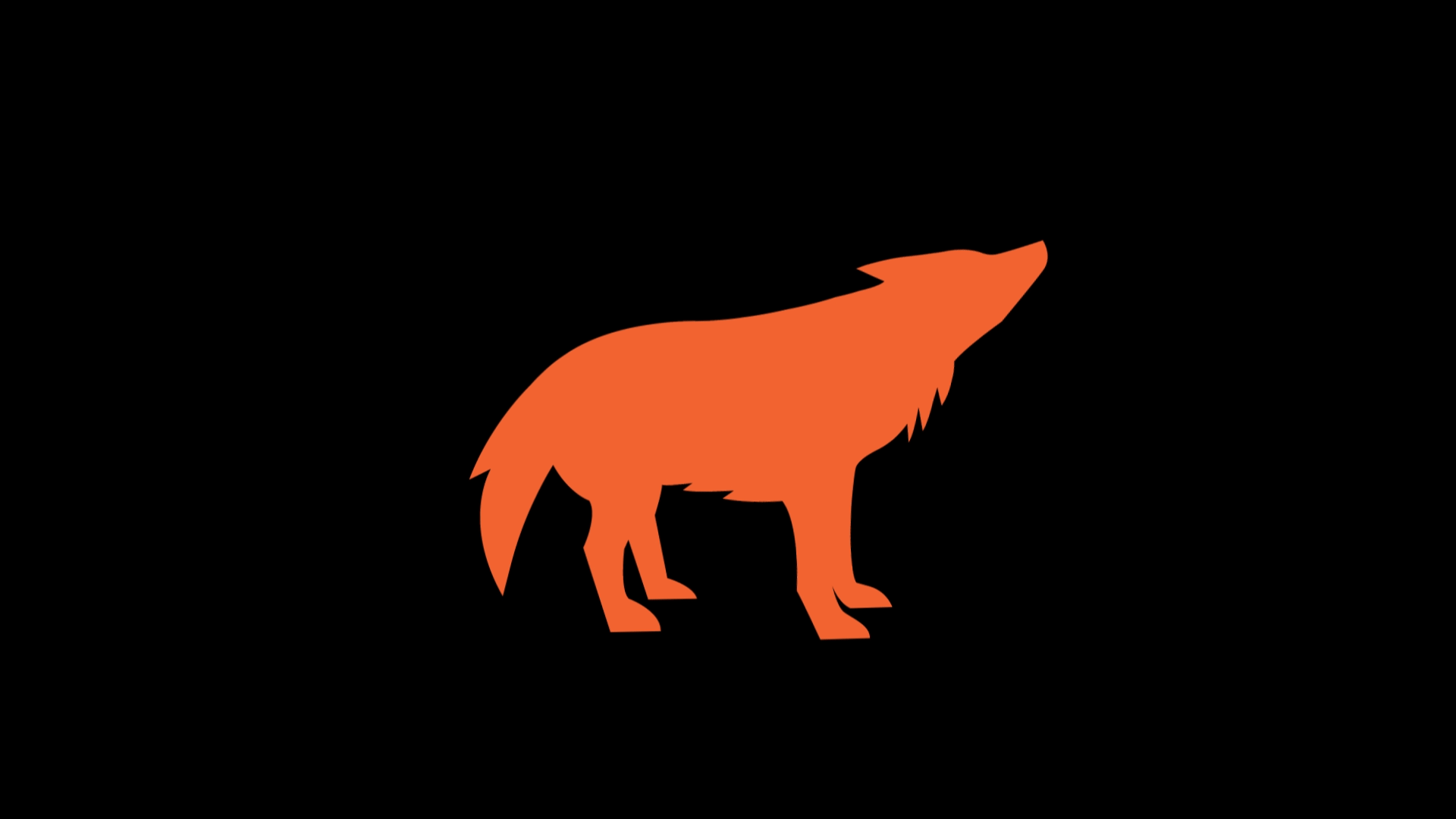 animation of a orange wolf on a black background