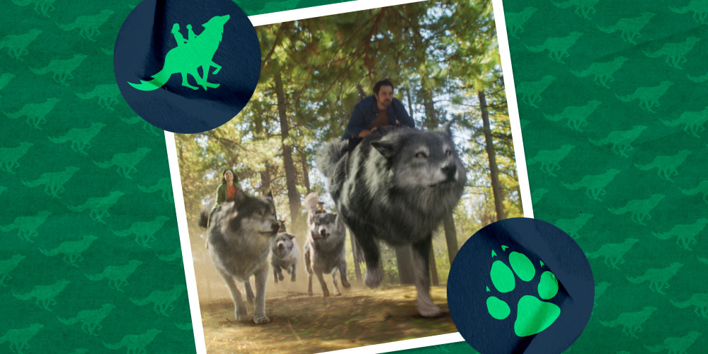 Great Wolves Getaway | Special Offers | Great Wolf Lodge San Francisco