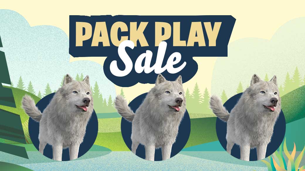 Three white wolves
