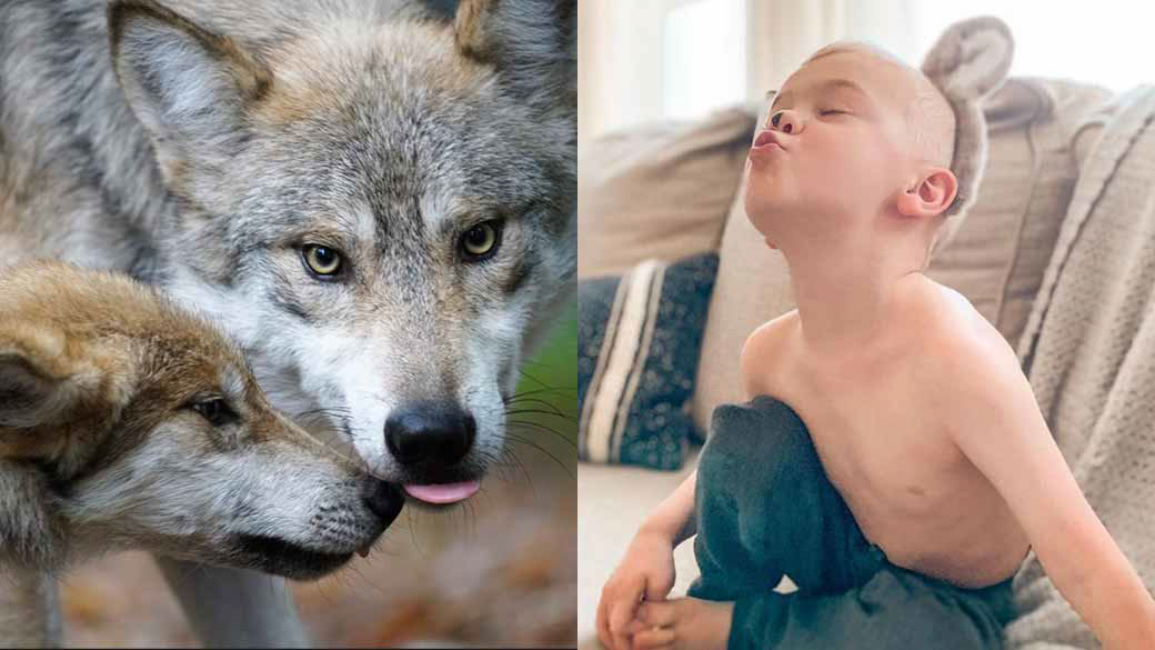 Mother and son next to two wolves