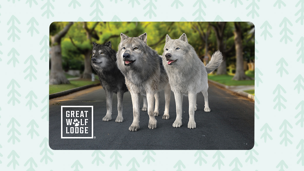 Gift card great wolf
