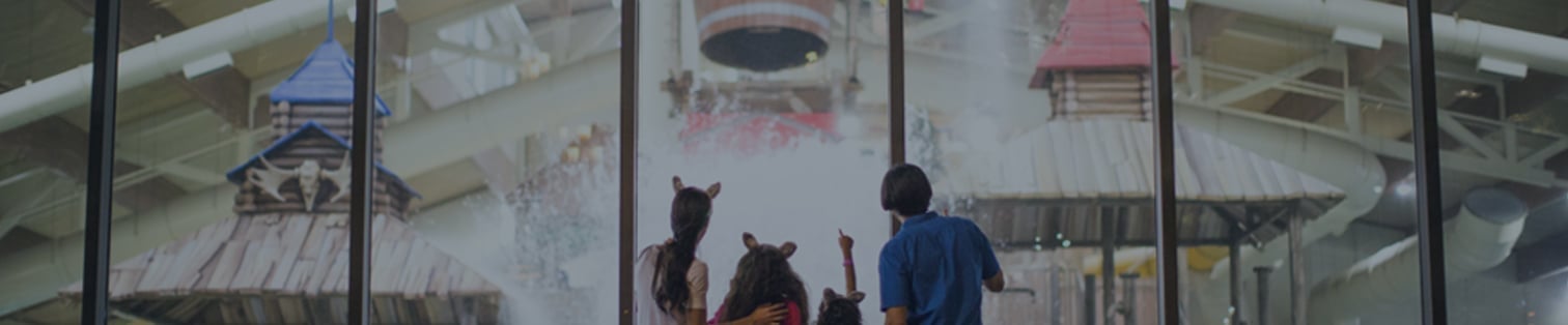 Family looking at Great Wolf Lodge Waterpark from above through glass