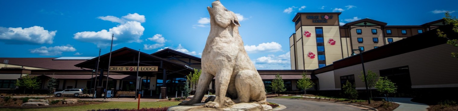 Great wolf lodge Georgia