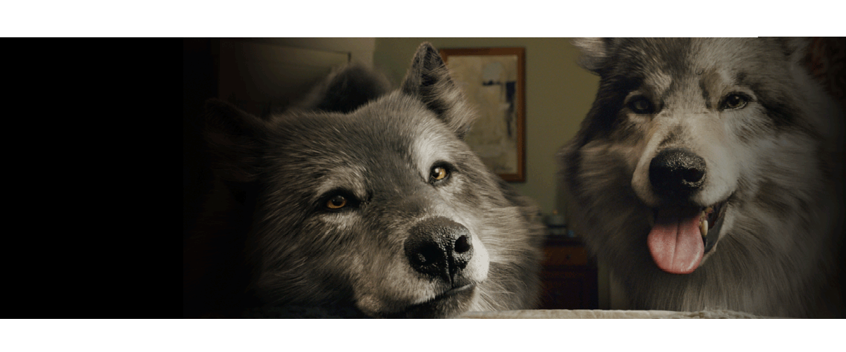 Howling Holidays Banner