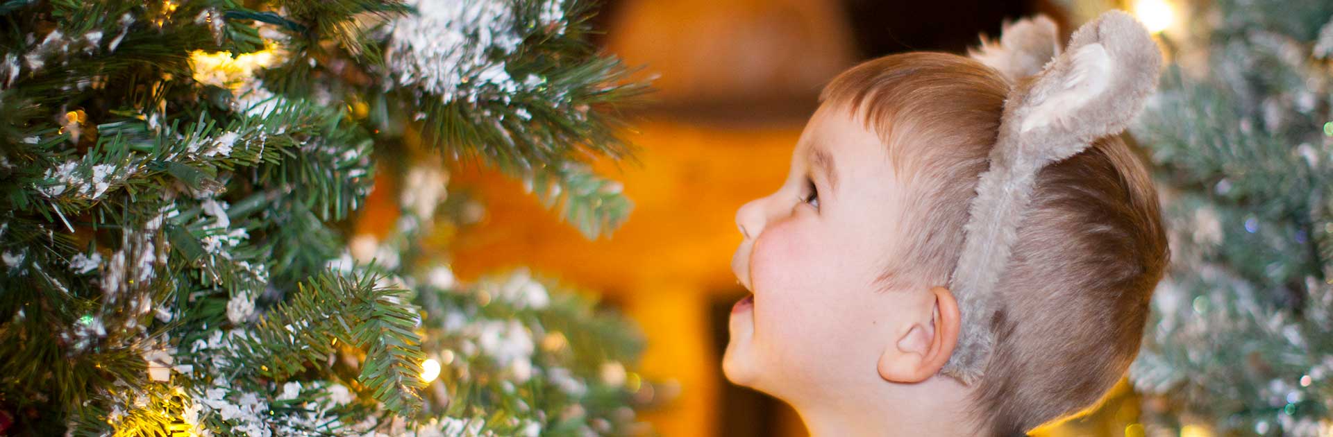 Boy looking at a Christmas tree