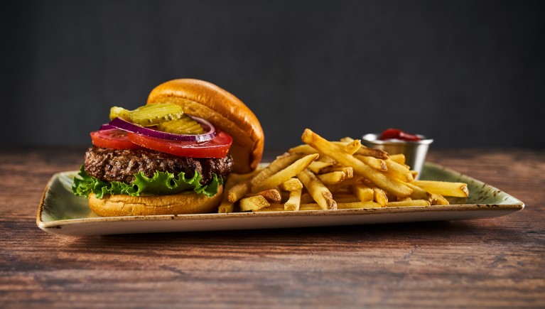 Burger and fries