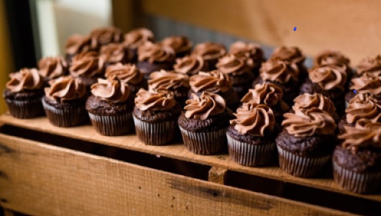 A closeup of a chocolate cupcake 