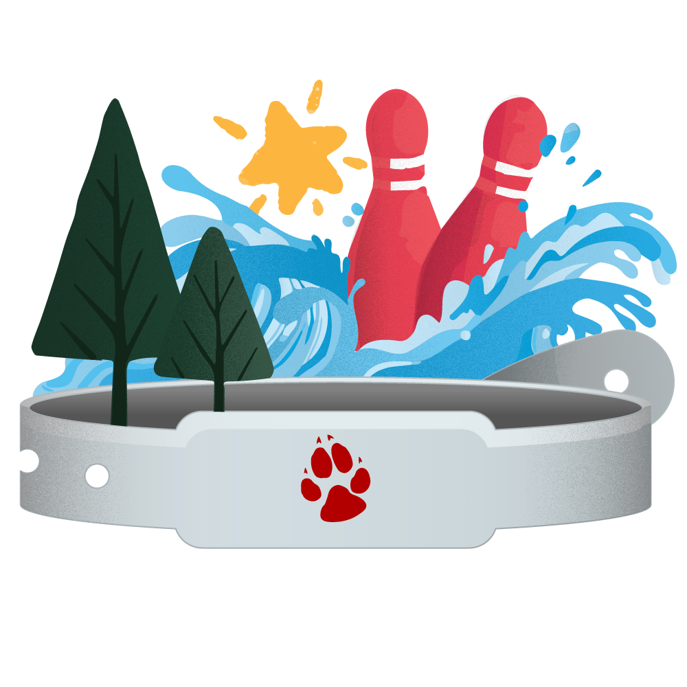 icon with paw logo, showing trees, a star and bowling pins with a wave behind 