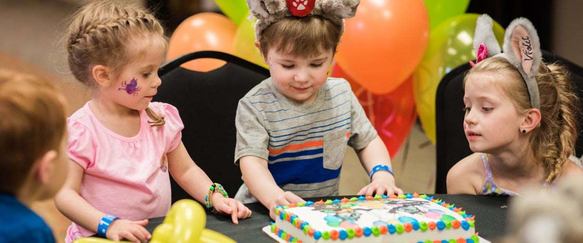 children looking at a birthday cake at great wolf lodge